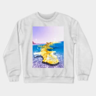 Shiny Steel Coast Crewneck Sweatshirt